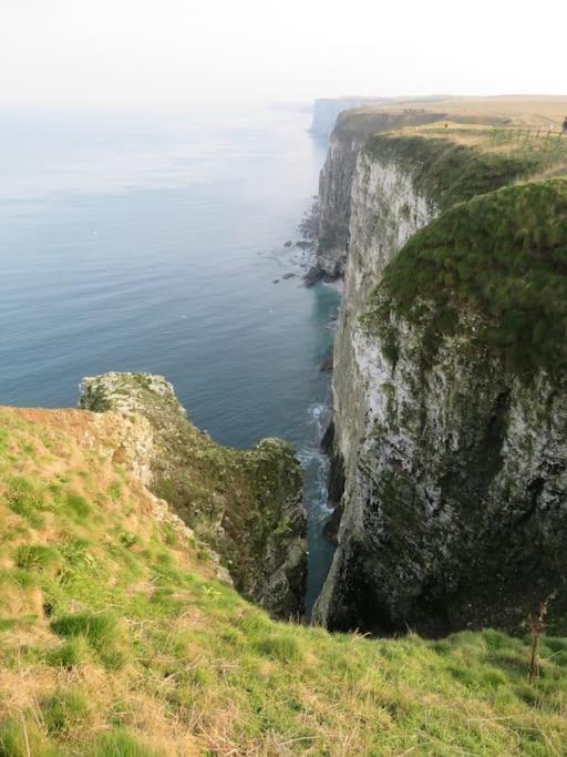 Spacious, Self-Contained, 1 Bedroomed Annex Bempton Esterno foto